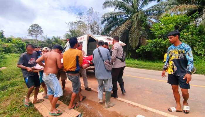 Kecelakaan Tunggal di Jalan Trans Kalimantan, Istri Sopir Meninggal Dunia